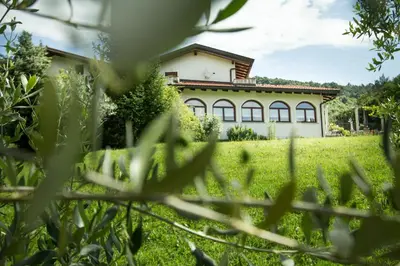 a house in the middle of a field at Turistična kmetija Štanfel in Podsabotin
