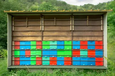 a wall of colorful plastic blocks on a building at Turistična kmetija Štanfel in Podsabotin