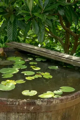 a pool of water with lily pads in it at Turistična kmetija Štanfel in Podsabotin