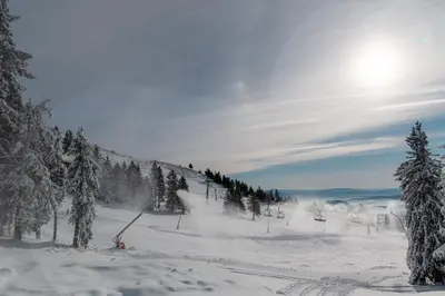 a snow covered ski slope with trees and the sun at Old House - Krvavec ski resort in Cerklje na Gorenjskem