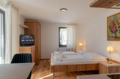a living room with a bed and a tv at Hiša S'TJE Krvavec ski resort in Cerklje na Gorenjskem