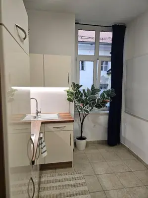 a kitchen with a sink and a potted plant at Old city life in Maribor
