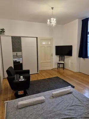 a living room with a black couch and a television at Old city life in Maribor