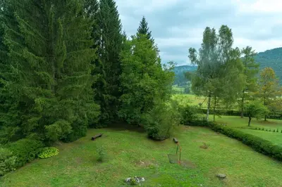 an aerial view of a field with trees at Chalet Ceri in Bohinj