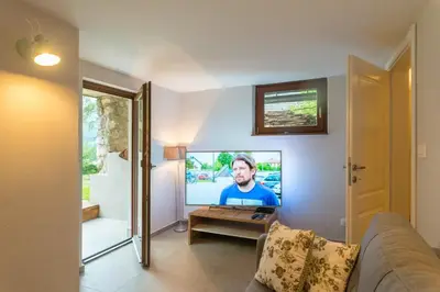 a living room with a tv and a couch at Chalet Ceri in Bohinj