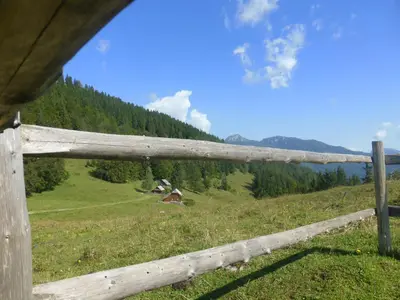 a wooden fence in a field with trees at Koča Lipa pod Veliko planino in Luče