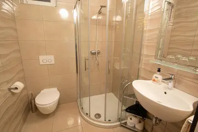 a bathroom with a shower and a toilet and a sink at Lake Bled Apartments in Bled