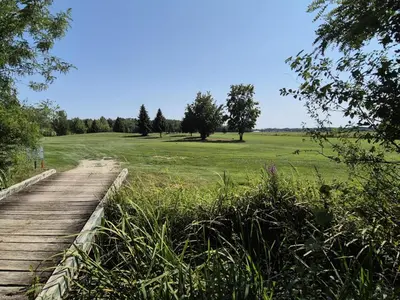 a wooden path leading to a field with trees at Marjetica 40 in Moravske Toplice