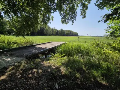 a wooden boardwalk in a field with a person in the distance at Marjetica 40 in Moravske Toplice
