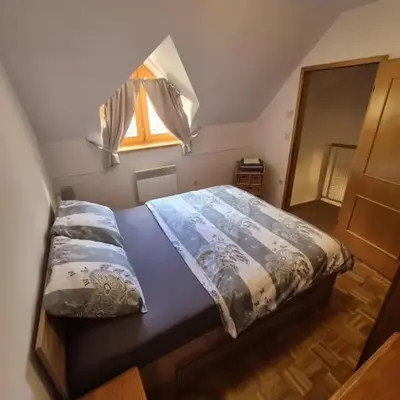 Marjetica 40
