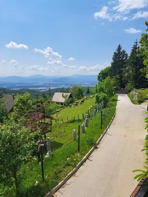 a road leading to a cemetery on a hill at Apartma Maya in Cerklje na Gorenjskem