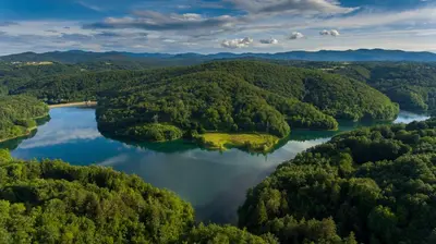 an aerial view of a lake in the middle of a forest at Posestvo Brida - Glamping in Ilirska Bistrica
