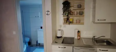 a small kitchen with a sink and a toilet at Mini wellness studio-near the airport in Smlednik