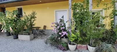 a bunch of plants in pots on the side of a building at Mini wellness studio-near the airport in Smlednik