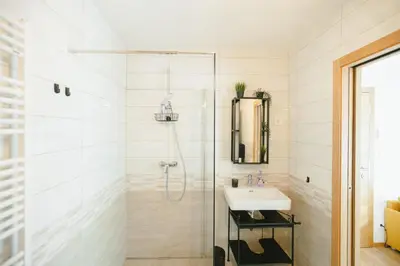 a bathroom with a shower and a sink at Nordic House Apartment A1 in Kranjska Gora
