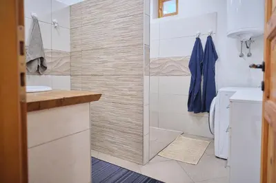 a bathroom with a shower with a toilet and a sink at Hisa na Zlatem polju in Lukovica pri Domžalah