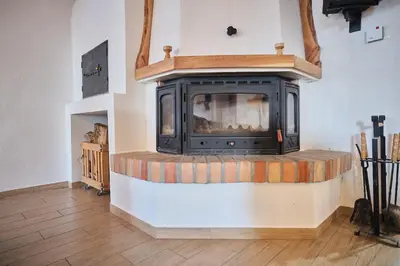 a fireplace with a wood stove in a room at Hisa na Zlatem polju in Lukovica pri Domžalah