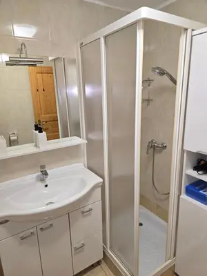 a white bathroom with a shower and a sink at Apartmaji PRI JUNESKO in Kranjska Gora