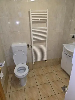 a bathroom with a toilet and a sink at Apartmaji PRI JUNESKO in Kranjska Gora