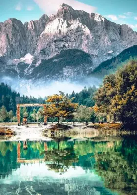 a reflection of a mountain in a lake with a tree at Apartment Misty Forest in Kranjska Gora