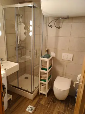 a bathroom with a shower and a toilet and a sink at Apartment Misty Forest in Kranjska Gora