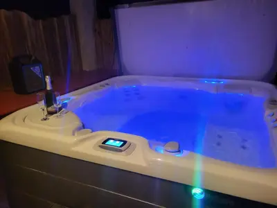 a jacuzzi tub with a tv in a room at Kmečka Vila in Višnja Gora