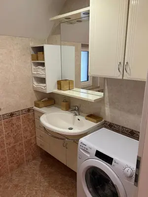 a bathroom with a washing machine and a sink at Cozy stay near Bled in Radovljica