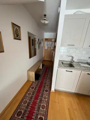 a kitchen with a sink and a rug on the floor at Apartment MANCA-HOLIN in Bohinj