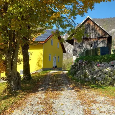 a yellow house with a tree and a driveway at Apartma pri Milki in Cerkno