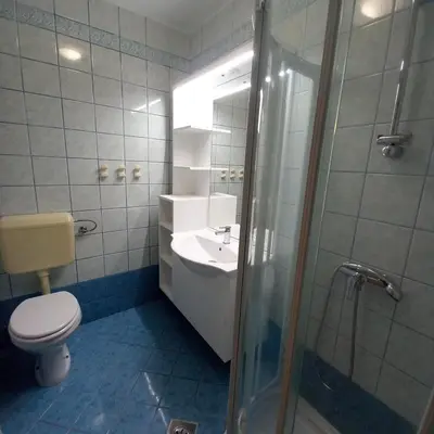 a bathroom with a toilet and a sink and a shower at Apartma pri Milki in Cerkno
