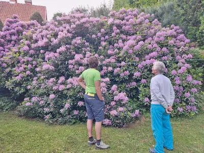 two people standing in front of a bush of flowers at Pohorje Zen Garden in Pohorje