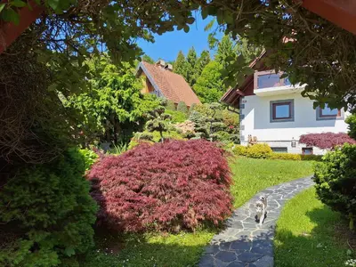 a dog walking down a path in a garden at Pohorje Zen Garden in Pohorje
