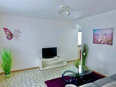 a living room with a couch and a tv at Apartment River in Vitanje
