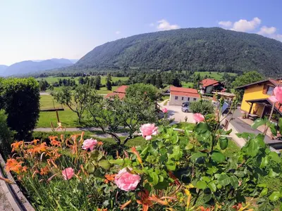 a view of a mountain with flowers in the foreground at Apartments Denis in Tolmin