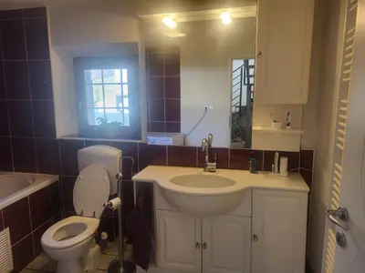 a bathroom with a sink and a toilet and a mirror at Kmečka Vila in Višnja Gora