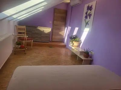 a bedroom with purple walls and a bed and a door at Kmečka Vila in Višnja Gora