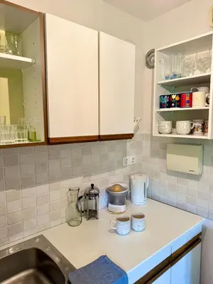a kitchen with a sink and a counter top at Lotti's Apartment in Kranjska Gora