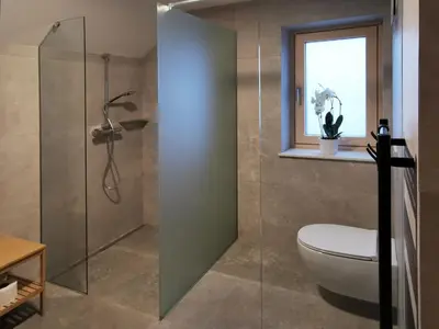 a bathroom with a toilet and a shower at Vila Perunika in Bohinj