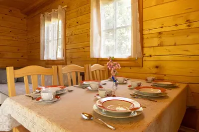a table in a wooden room with a table set with dishes at Apartma Brunarca in Borovnica