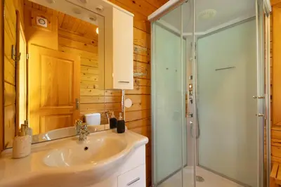 a bathroom with a sink and a shower at Apartma Brunarca in Borovnica