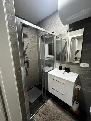 a bathroom with a shower and a white sink at Apartmaji MAS 2 in Ljubljana