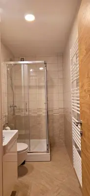 a bathroom with a shower and a toilet and a sink at Poku bajka in Kranjska Gora