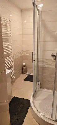 a bathroom with a shower and a sink and a toilet at Poku bajka in Kranjska Gora