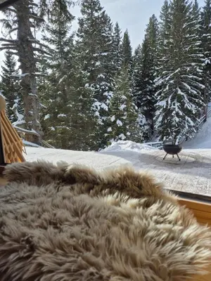a faux fur bed in a room with a snow covered yard at New cosy apartment in nature - Krvavec in Cerklje na Gorenjskem