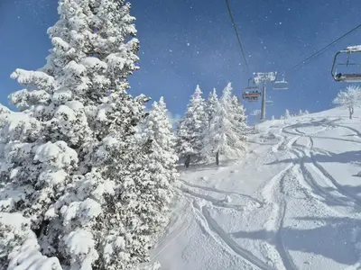 a snow covered tree next to a ski lift at New cosy apartment in nature - Krvavec in Cerklje na Gorenjskem