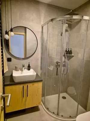 a bathroom with a shower and a sink and a mirror at New cosy apartment in nature - Krvavec in Cerklje na Gorenjskem