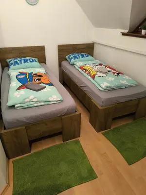 two twin beds in a room with green rugs at Apartma Dian in Mostec