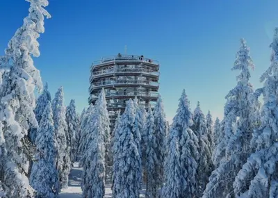 a building in the middle of a forest of snow covered trees at Apartma Escales -naselje Nune-Rogla in Zreče