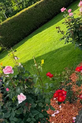 a garden with pink and red flowers and grass at Apartment Pohorje Sun - Entire house in Maribor