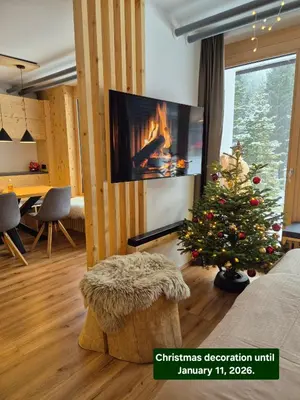 a living room with a christmas tree and a television at New cosy apartment, smučišče Krvavec in Cerklje na Gorenjskem